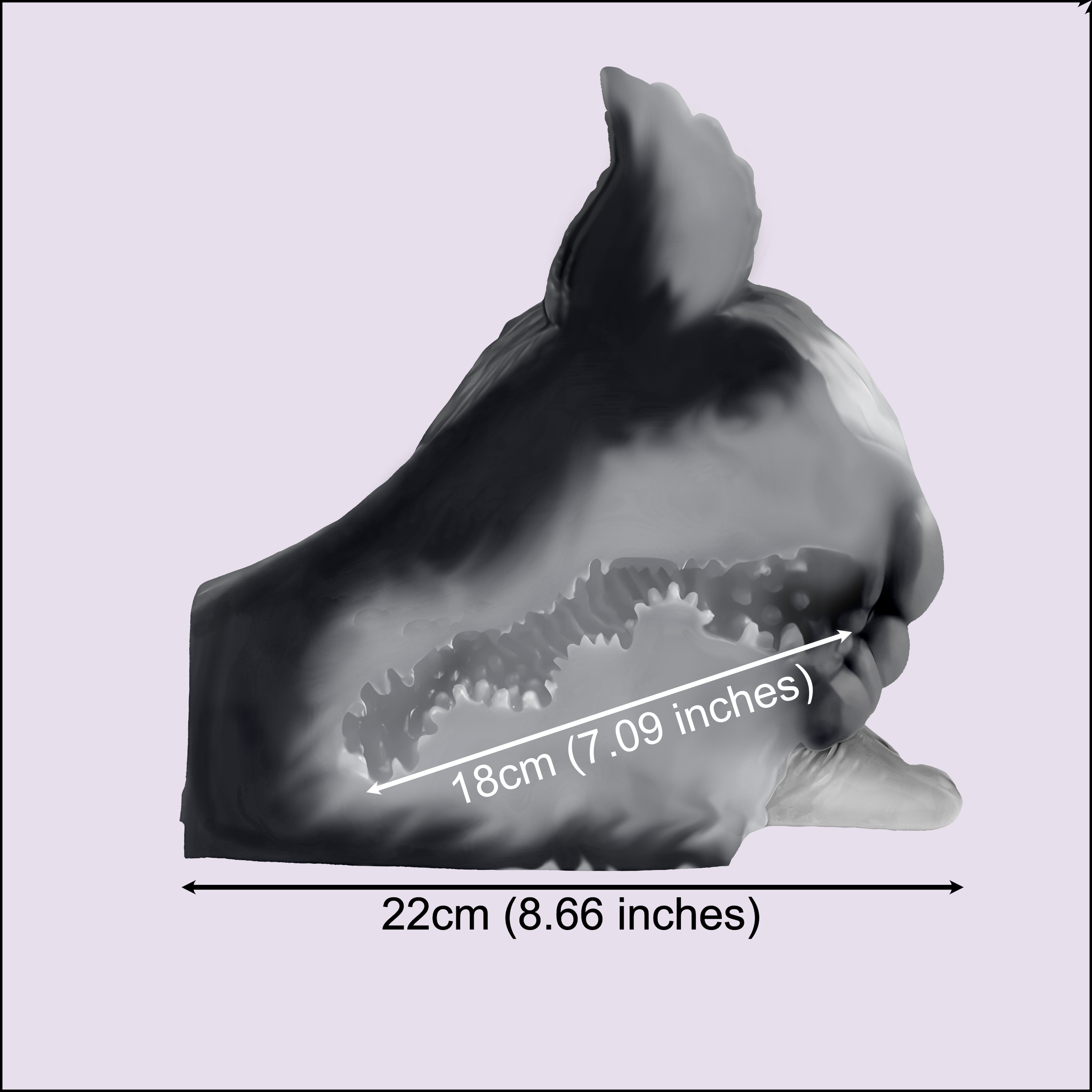 Loona, Unleashed Wolf – Furry Butt