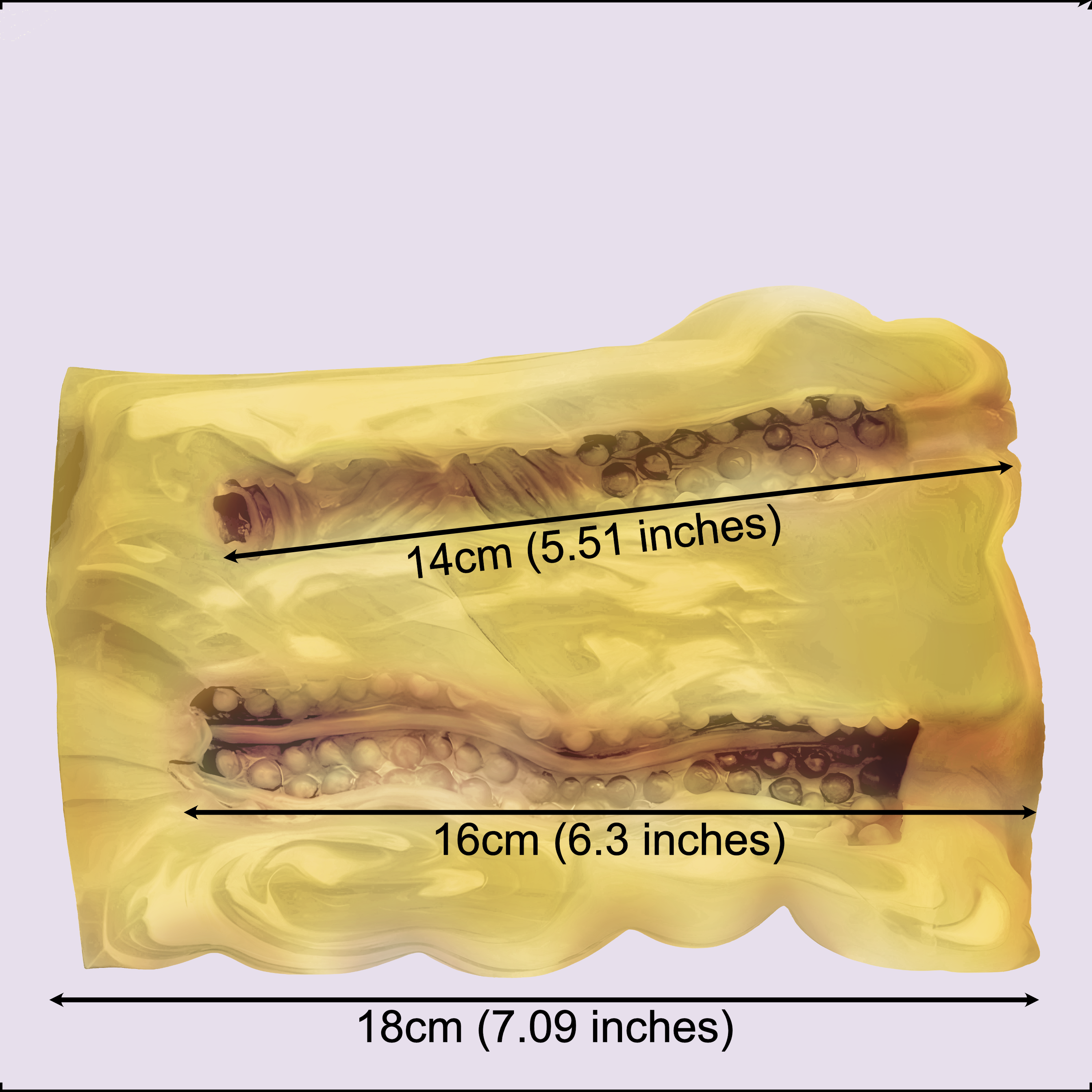 Flurya, Ponette Tímida – Masturbador Furry