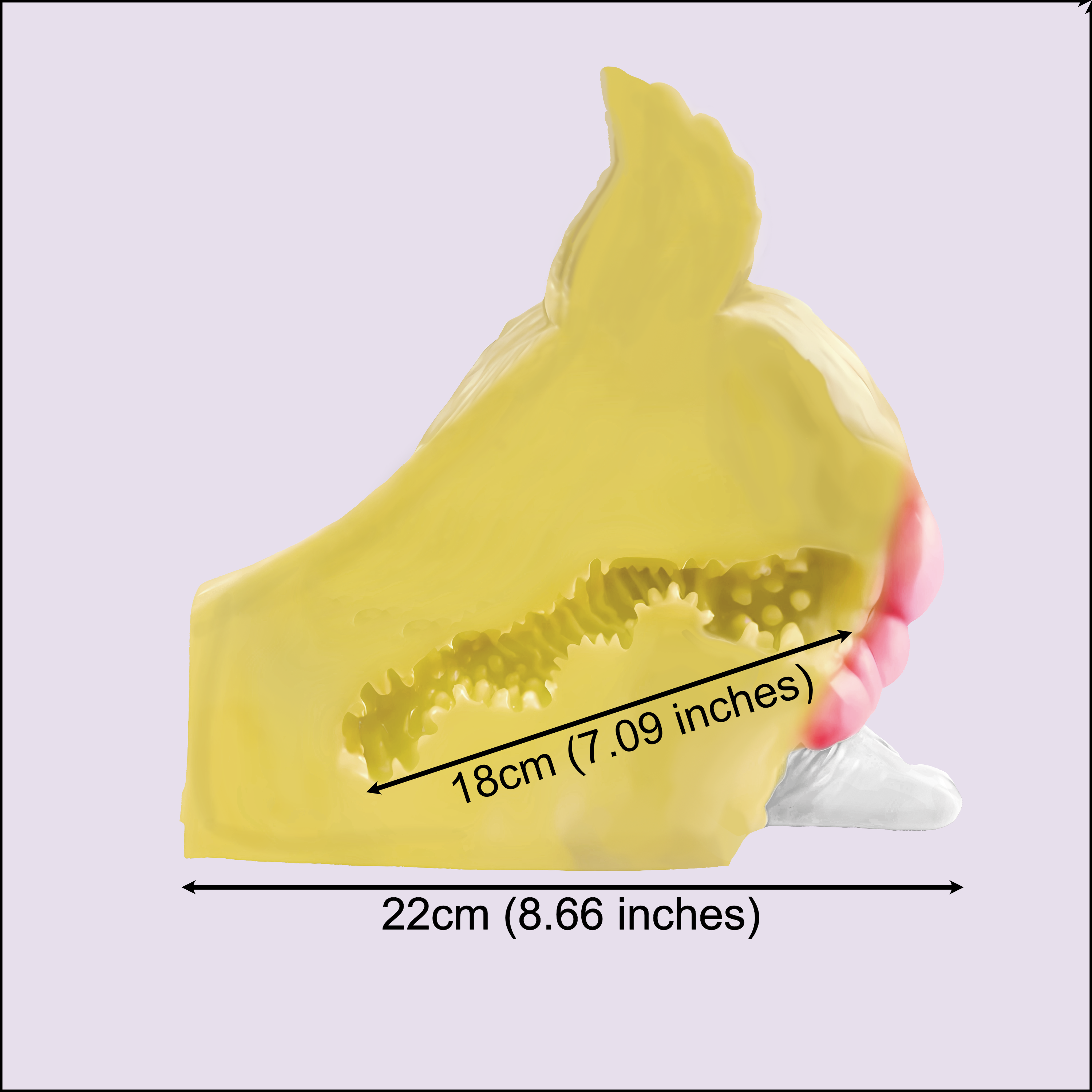 Renysha, Espíritu del Deseo – Glúteos Peludos